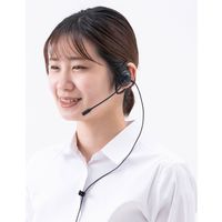 サンワサプライ ワイヤレスガイド用イヤホンマイク（最大入力8mW） MM-WGS3-HS1 1個（直送品）