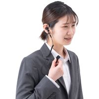 サンワサプライ ワイヤレスガイド用イヤホンマイク（最大入力80mW） MM-WGS3-HS2 1個（直送品）