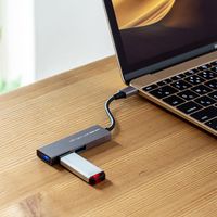 サンワサプライ USB Type-C 2ポートスリムハブ USB-3TCH24SN 1個