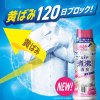 レノア 超消臭 抗菌ビーズ リフレッシュフローラル 本体 特大 720mL 1個 抗菌 P＆G