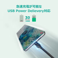 USBケーブル Type-C 60W 急速充電対応 Impulse Braided 2m ブラック CB-CC20 1個