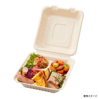 パックスタイル BBランチ BOX 200-220-3 5枚入 40袋 00678160 1ケース(200枚入(5枚×40袋入))（直送品）