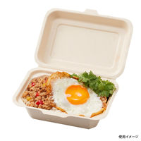 パックスタイル BBランチ BOX 180-130 5枚入 60袋 00678162 1ケース(300枚入(5枚×60袋入))（直送品）