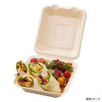 パックスタイル BBランチ BOX 200-220 5枚入 40袋 00678163 1ケース(200枚入(5枚×40袋入))（直送品）