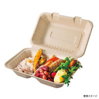 パックスタイル BBランチ BOX 240-150-2 5枚入 50袋 00678164 1ケース(250枚入(5枚×50袋入))（直送品）