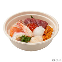 パックスタイル BBどんぶり 中 D-2 ラミ 5枚入 80袋 00678171 1ケース(400枚入(5枚×80袋入))（直送品）