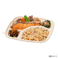 パックスタイル BB弁当 N24-20A ラミ 5枚入 60袋 00678175 1ケース(300枚入(5枚×60袋入))（直送品）