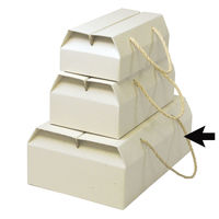 ヤマニパッケージ ナチュラル手提BOX-L 60枚 16-192 1ケース(60枚入)（直送品）