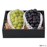 ヤマニパッケージ L-2371 こだわりの黒 140H 中 50枚(10×5) 582681 1ケース(50枚入(10枚×5袋))（直送品）