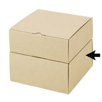 ヤマニパッケージ 本麻230角H115　100枚(25×4) EE-107（直送品）