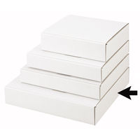 ヤマニパッケージ FS-3プラター 50枚(25×2) EE-252 1ケース(50枚入(25枚×2袋))（直送品）