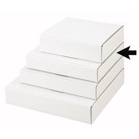 ヤマニパッケージ FS-5プレートL 50枚(25×2) EE-254 1ケース(50枚入(25枚×2袋))（直送品）