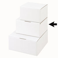 ヤマニパッケージ FS-6ペアS 50枚(25×2) EE-255 1ケース(50枚入(25枚×2袋))（直送品）