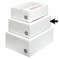 ヤマニパッケージ A式白2号　60枚 EE-301（直送品）