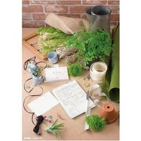 チキュウグリーティングス 領収証(単票式) R-105 1セット(1冊100枚綴り×30)（直送品）