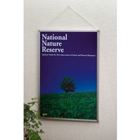 ジョインテックス マルチパネル 10枚 B143J-A2 1箱（直送品）