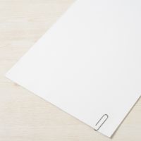 プラス ゼムクリップ特大 NO.0 CP-302 袋 100個 1セット(1袋×10)