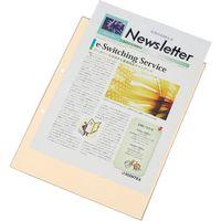 ジョインテックス OPPクリアポケット 中紙有2穴10枚 D120J 1セット(30パック)（直送品）