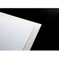 ジョインテックス 色紙 サイン用 100枚 N101J-S-2P 1セット(3セット)（直送品）