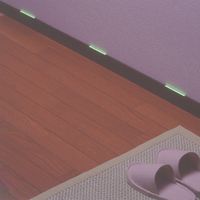 高性能蓄光シール T0730 ロング　20パック ニトムズ（直送品）