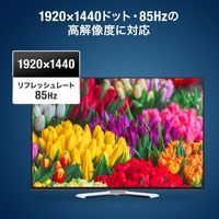 サンワサプライ ディスプレイ切替器(ミニD-sub(HD)15pin用)・2回路 SW-EV2N2 1個