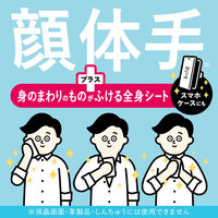 メンズビオレ ONE 全身シート 無香料（15枚入）1個 花王
