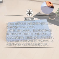 クリエイトアルファ 1個 接触冷感スカイジェルピロー SB 4582243750479-SB-1（直送品）