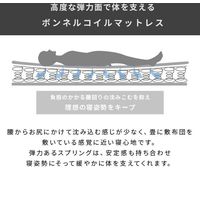 三栄コーポレーション 圧縮梱包ボンネルコイルマットレス厚さ16CMエントリーモデルセミダブル A1-PRBSDM_AS 1個（直送品）