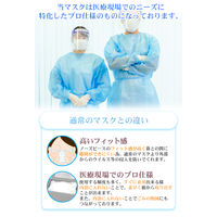 医療用サージカルマスク クラス2 4589765741176 1箱（50枚入）