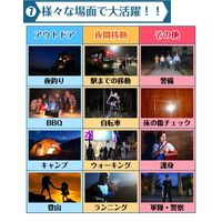 グリーンクロス ハンディライト ad202　1個（直送品）