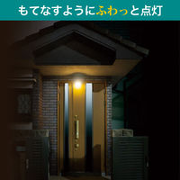 朝日電器 もてなしライト HLH-2206 1個