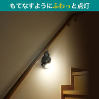 朝日電器 もてなしライト HLH-2205 1個