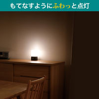 朝日電器 もてなしライト HLH-2204 1個