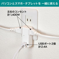 朝日電器 耐雷USBタップ2個口2ポート2.4A UA-222SL 1個