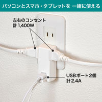 朝日電器 USBタップ2個口2ポート2.4A UA-222L 1個