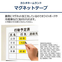 ネームランド テープ マグネットテープ 幅24mm 白ラベル(黒文字) XR-24JWE 1個 カシオ（わけあり品）