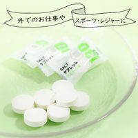 暑さ対策 塩分補給 塩分対策  暑さに負けない塩タブレット マスカット味 675g　約250粒入 1袋 オリジナル