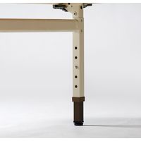 【軒先渡し】ニシキ工業  昇降式園児用テーブル  幅1800×奥行750×高さ380～500mm  アイボリー  AEUC-P1875-IV  1台（直送品）