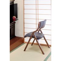 ファミリー・ライフ フォールディングチェア ダークブラウン 0402720 1セット(2脚入)（直送品）