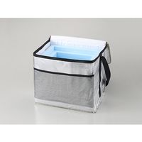 サンプラテック iPーTECRジャストライトBOX (ファイザー社ワクチン冷蔵輸送用) 専用アルミバッグ付 28658 1セット（直送品）