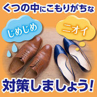 ノンスメルドライ くつ用 除湿＆脱臭 2足分 1個（4シート入） 白元アース
