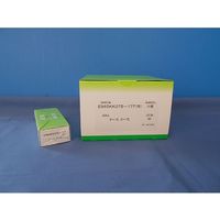 小林クリエイト 記録紙 20冊入 8m E965KK075-17TE9653BJ(K) 1箱(20冊) 63-5627-44（直送品）