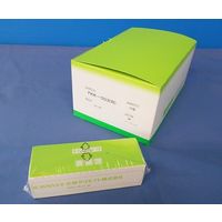 小林クリエイト 記録紙 20冊入 FKK-003(K) 1箱(20冊) 63-6538-44（直送品）