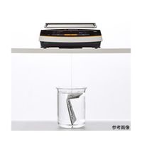 アズワン ベーシック天びん ENTRISII 英語版校正証明書付 BCE6200I-1SJP 1台 64-0912-25-56（直送品）