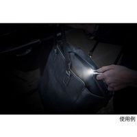 エナジャイザー LEDキーチェインライト20lm TKC2C 1個 64-0919-34（直送品）