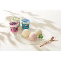 十勝ミルキー 十勝ジャージーフローズンヨーグルト・ミルキーアイスクリーム(10個) 22-0406-030 1個（直送品）