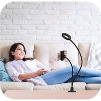 【ギフト包装・2個セット】　ビーサイレンス　フリーダムライティングスタンド　22-0623-023　（直送品）