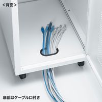 サンワサプライ キャスター付きハブボックス(4U・ホワイト) CP-THBOX4UW 1台（直送品）