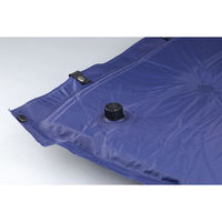 アーテック エアーマット 自動膨張タイプ W1880×D850×H25mm 52239 1台（直送品）