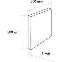 シーレックス・ジャパン 吸音壁パネル グレー(300×300mm) CN-03-3030-LG 1セット(2枚)（直送品）